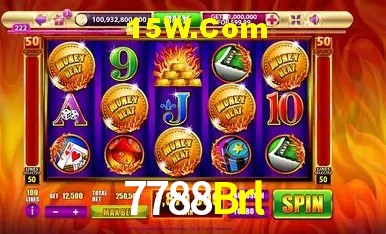 7788Brl Rio de Janeiro - Licenses